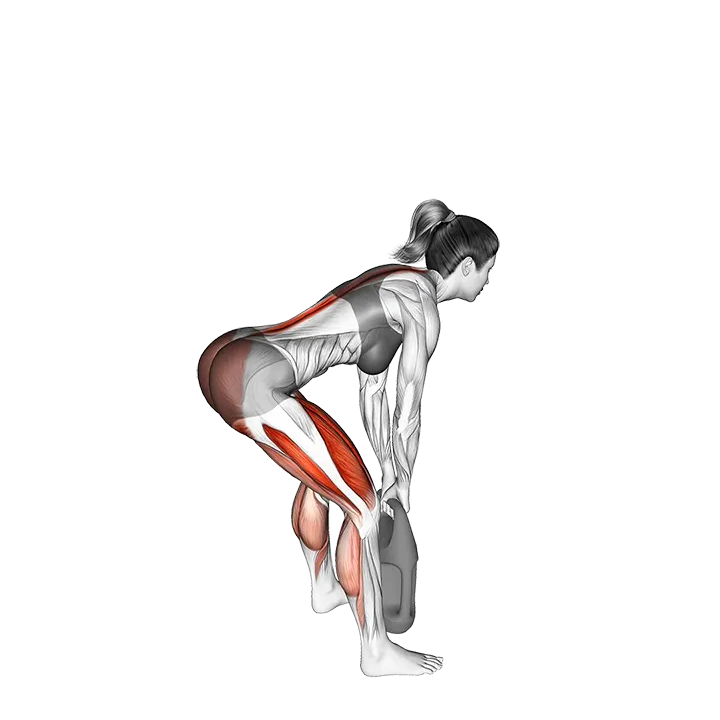 Bottle Weighted Romanian Deadlift exercise animation (Female)