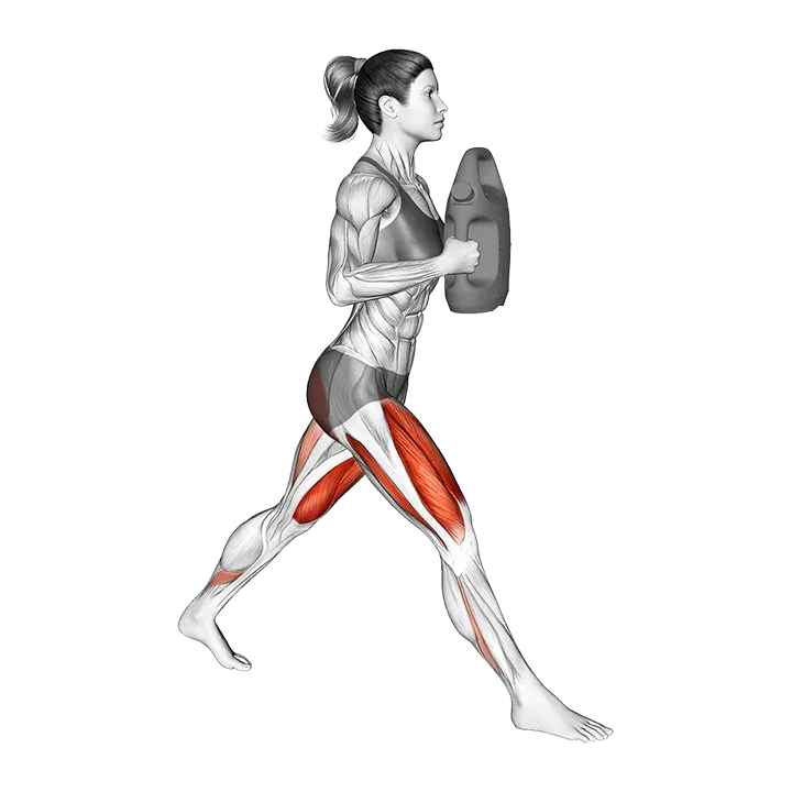 Bottle Weighted Split Squat exercise animation (Female)