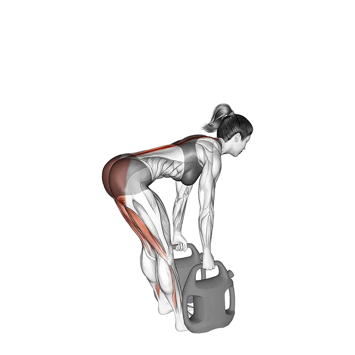Bottle Weighted Straight Legs Deadlift exercise animation (Female)