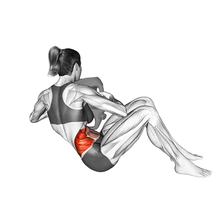 Bottle Weighted Russian Twist exercise animation (Female)
