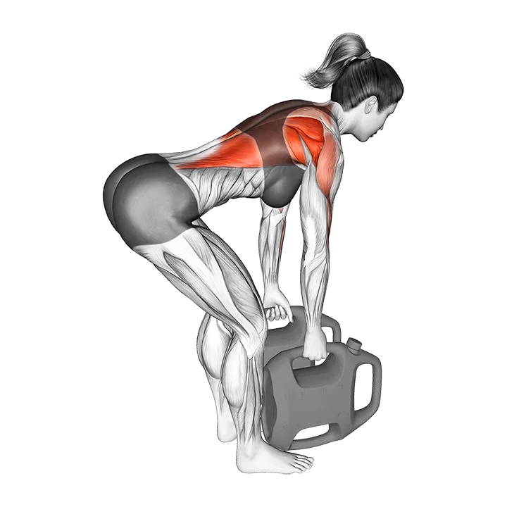 Bottle Weighted Bent Over Row exercise animation (Female)
