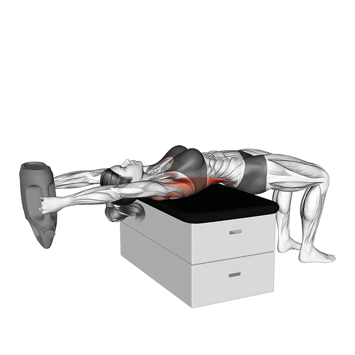 Bottle Weighted Pullover exercise animation (Female)