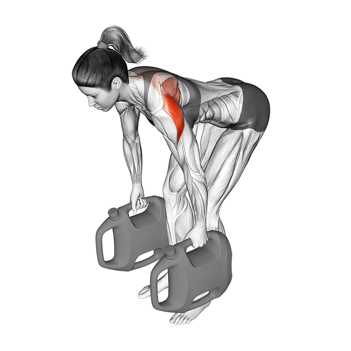 Bottle Weighted Bent Over Reverse Fly exercise animation (Female)
