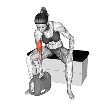 Bottle Weighted Concentration Curl