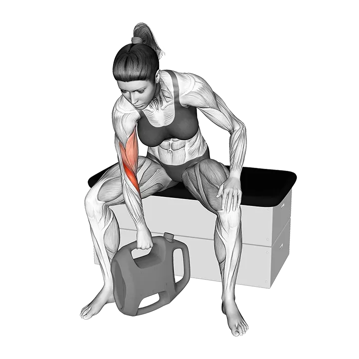 Bottle Weighted Reverse Grip Concentration Curl exercise animation (Female)