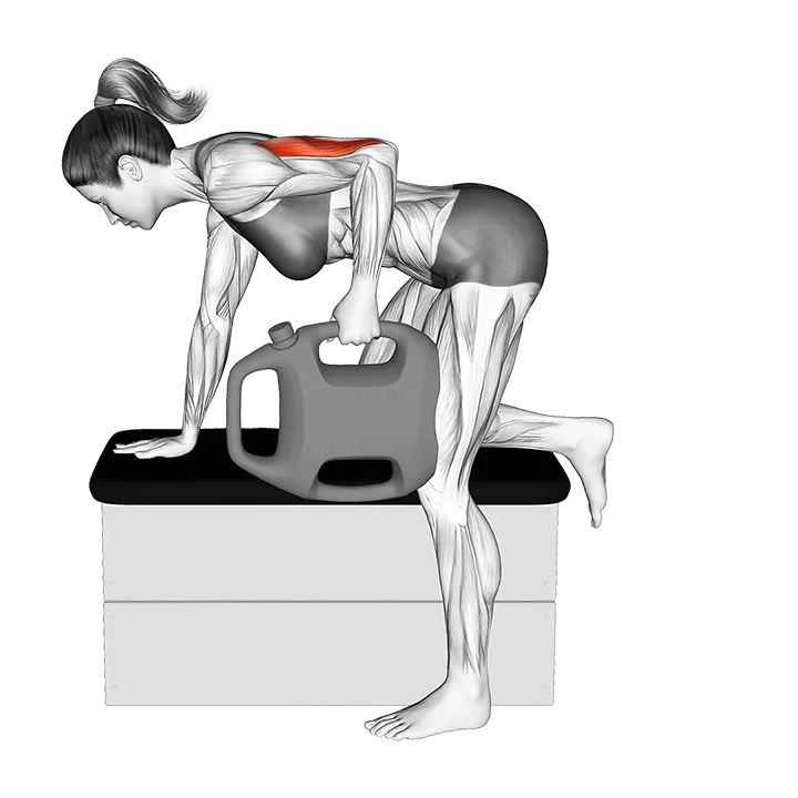 Bottle Weighted Kickback exercise animation (Female)