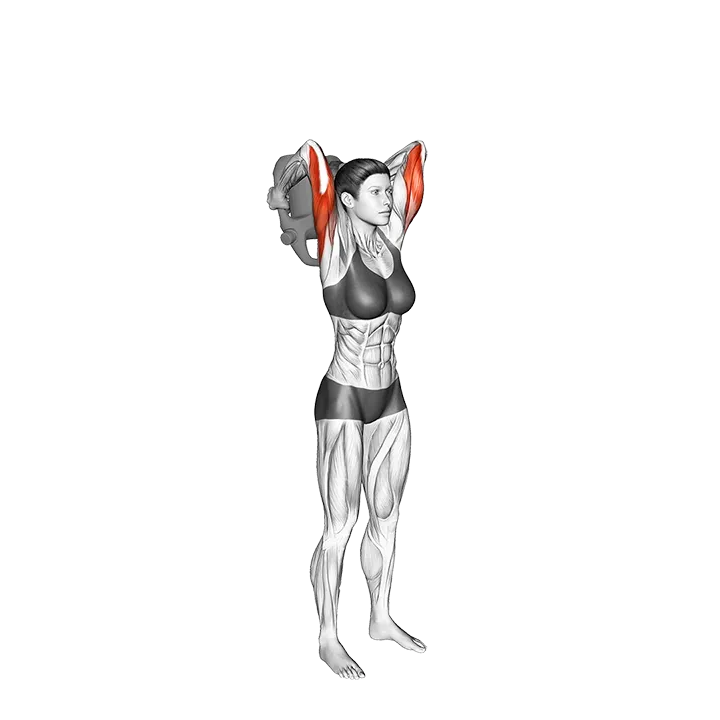 Bottle Weighted Overhead Triceps Extension exercise animation (Female)