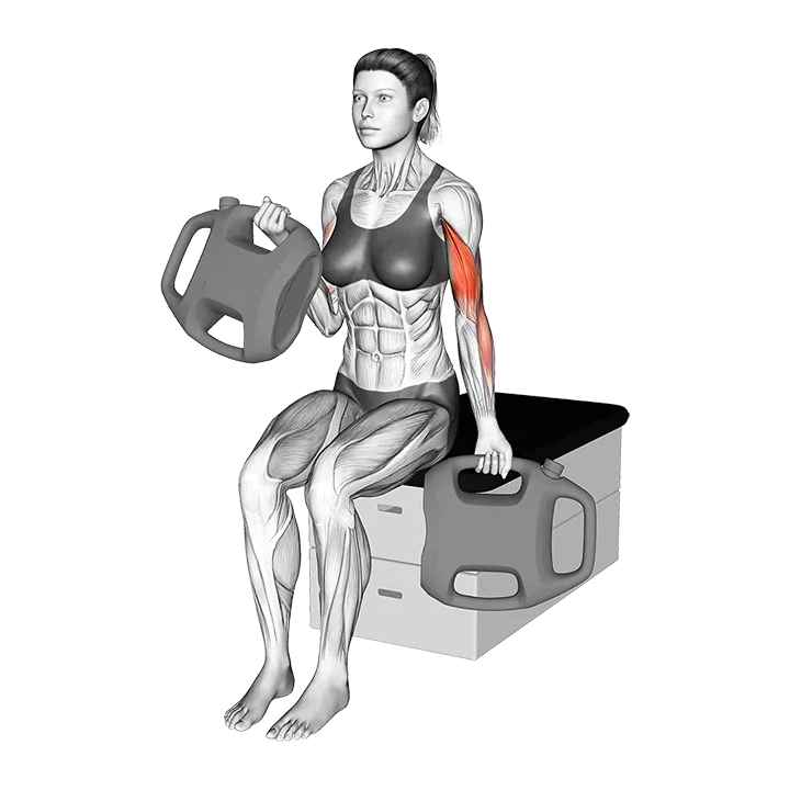 Bottle Weighted Alternate Biceps Curl exercise animation (Female)