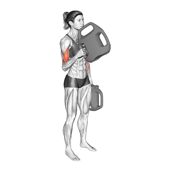 Bottle Weighted Alternate Hammer Curl exercise animation (Female)