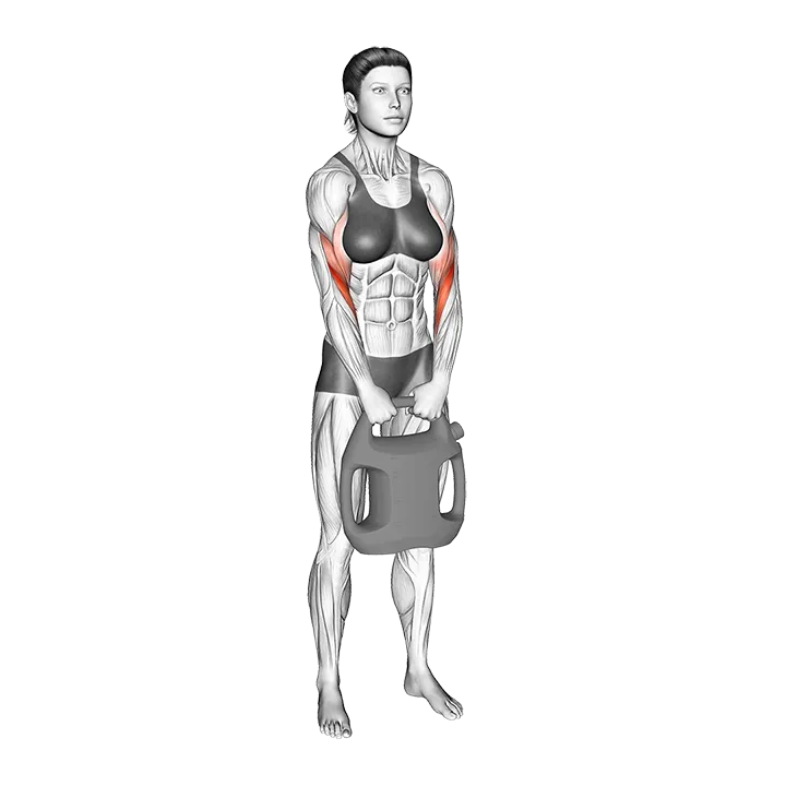 Bottle Weighted Reverse Curl exercise animation (Female)