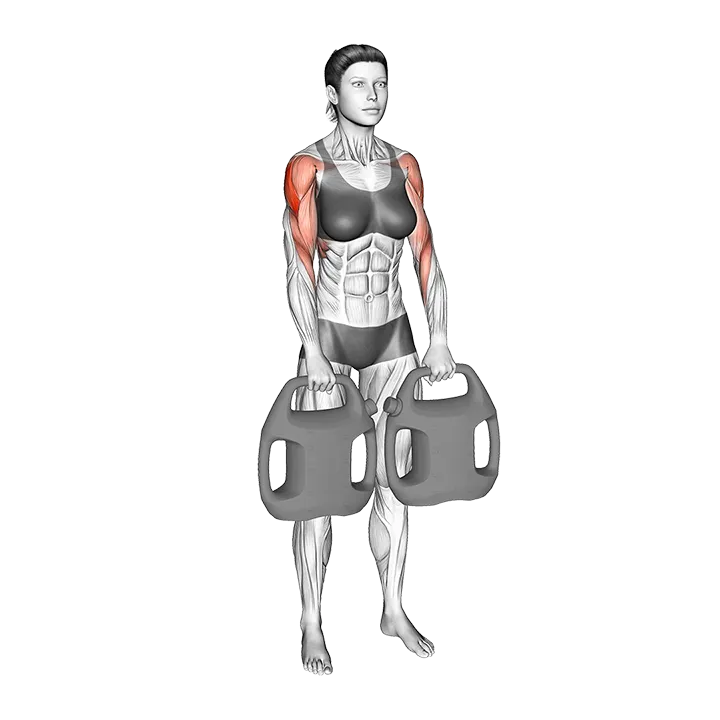 Bottle Weighted Upright Row exercise animation (Female)