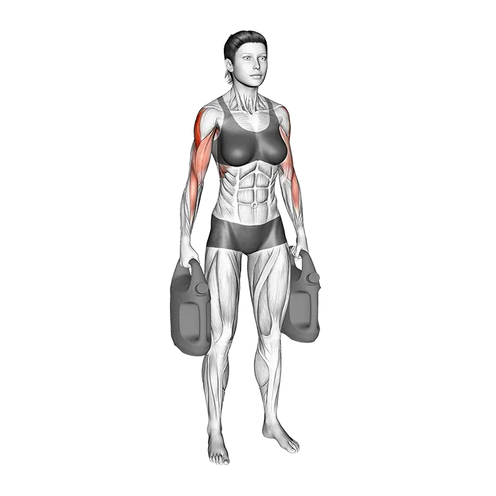 Bottle Weighted Armpit Row exercise animation (Female)