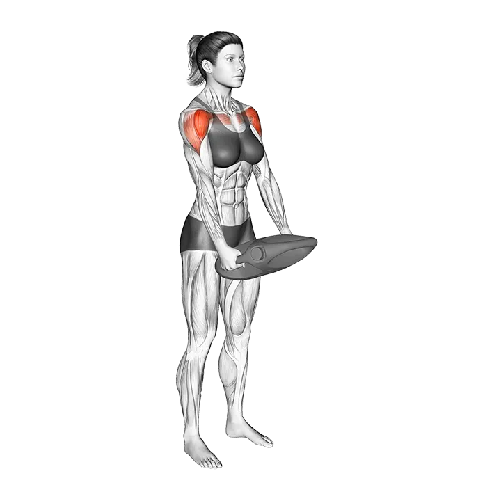 Bottle Weighted Front Raise exercise animation (Female)