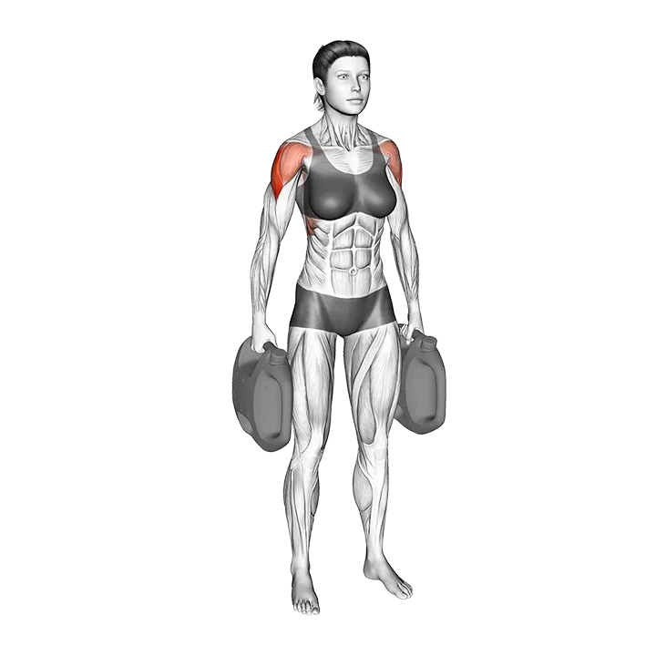 Bottle Weighted Lateral Raise exercise animation (Female)