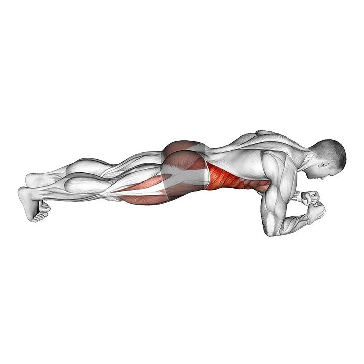 Spider Plank exercise animation (Male)