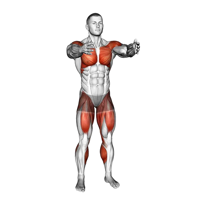 Front Leg Lift Under Knee Tap exercise animation (Male)