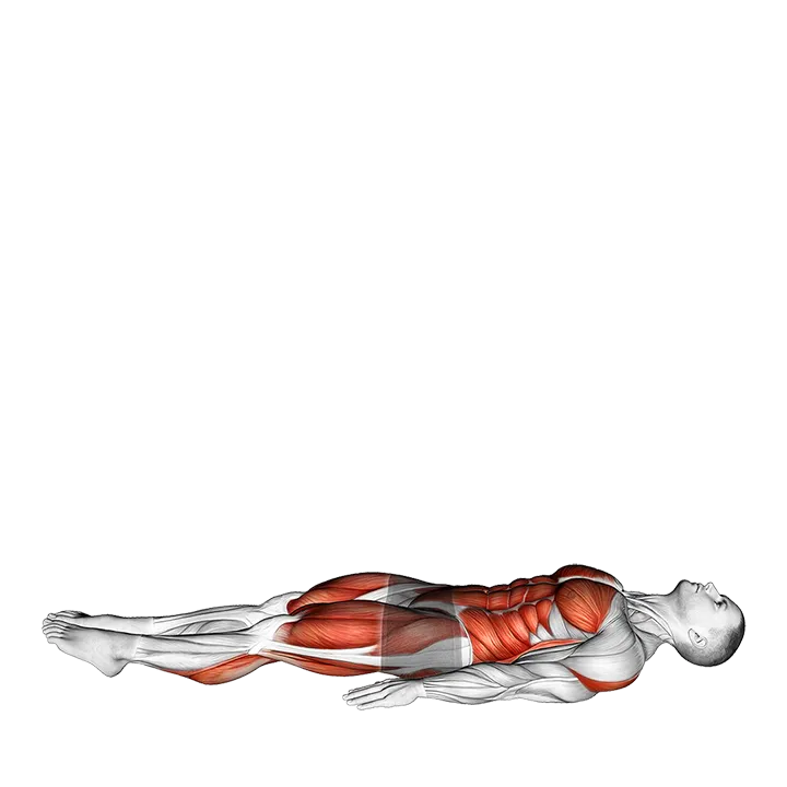 JackKnife exercise animation (Male)