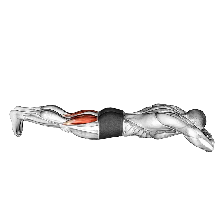 Bodyweight Lying Legs Curl exercise animation (Male)