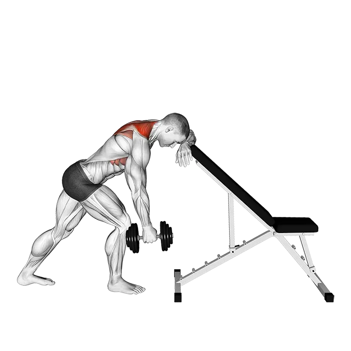 Dumbbell Unilateral Scapula Raise exercise animation (Male)