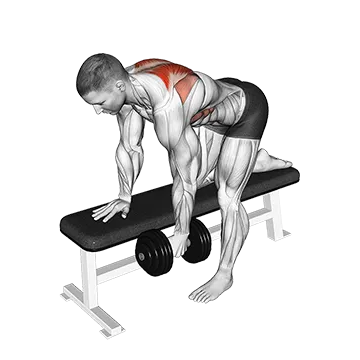 Dumbbell Bent-Over Scapula Row