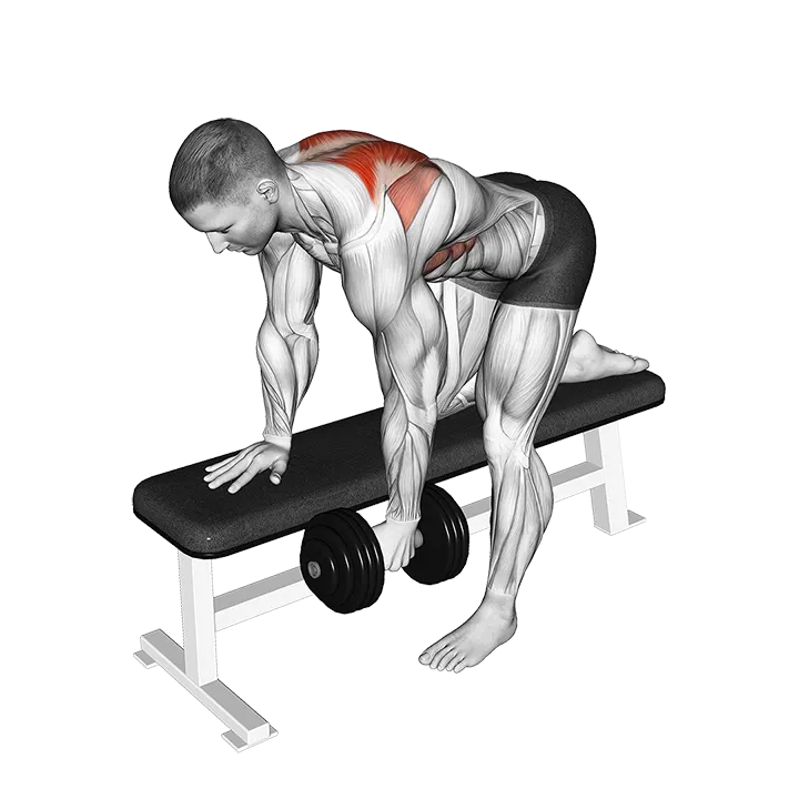 Dumbbell Bent-Over Scapula Row exercise animation (Male)