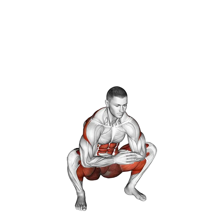 Squat Mobility Twist exercise animation (Male)