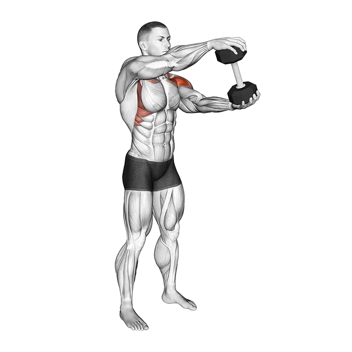 Dumbbell Standing Driver exercise animation (Male)
