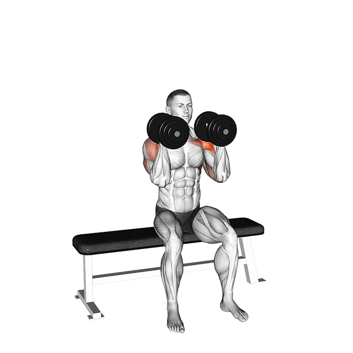 Dumbbell Seated Reverse Arnold Press exercise animation (Male)