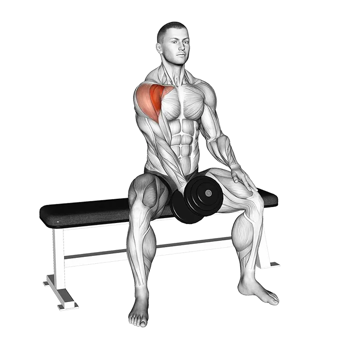 Dumbbell Seated Single Arm Front Raise exercise animation (Male)