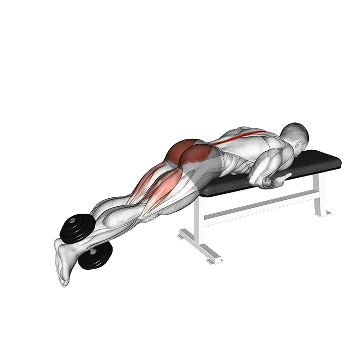 Dumbbell Reverse Hyperextension on Bench exercise animation (Male)
