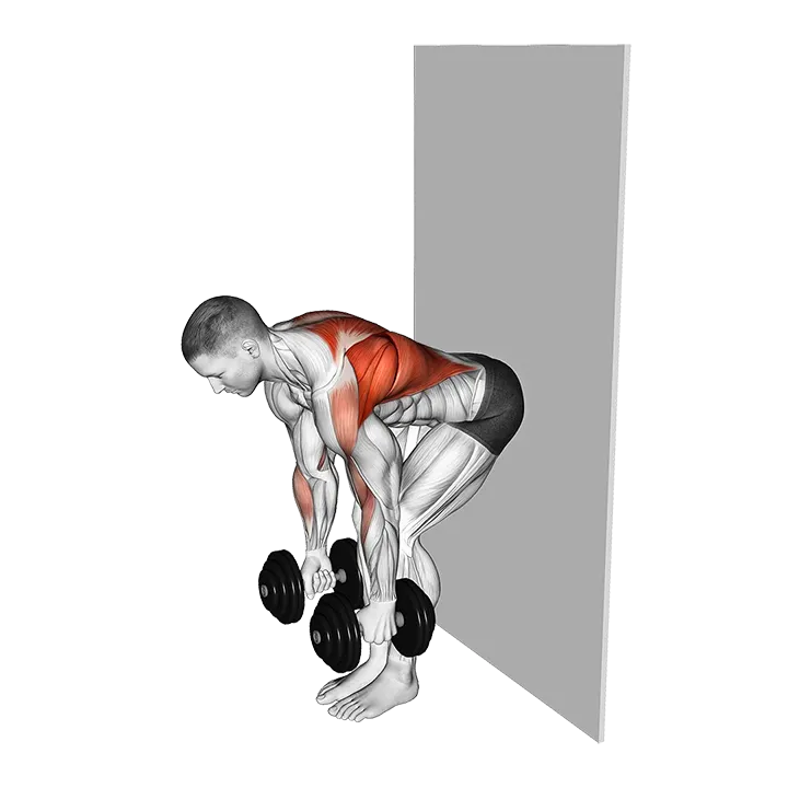 Dumbbell Bent Over Row against Wall exercise animation (Male)