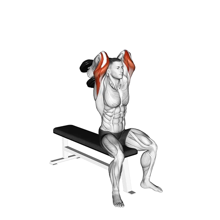 Dumbbell Seated Alternate Overhead Triceps Extension exercise animation (Male)