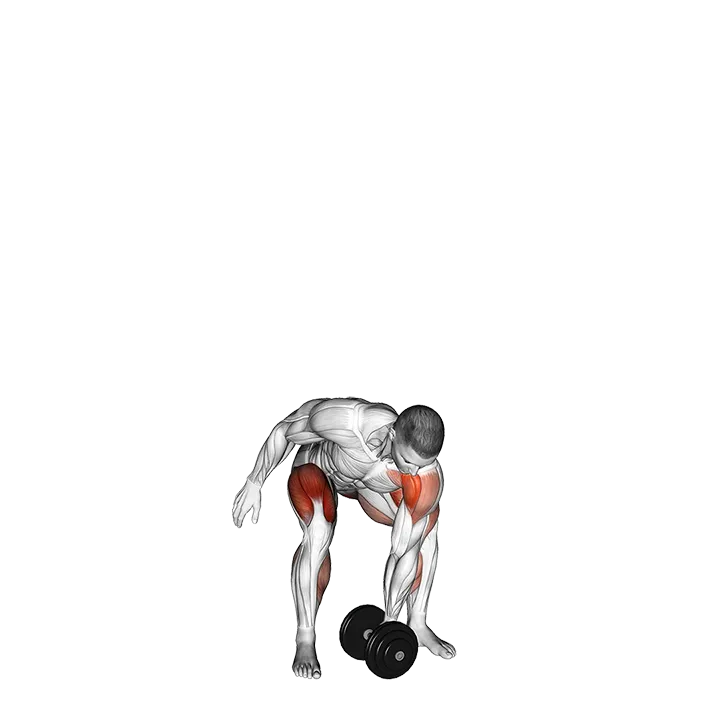 Dumbbell One Arm Snatch (left) exercise animation (Male)