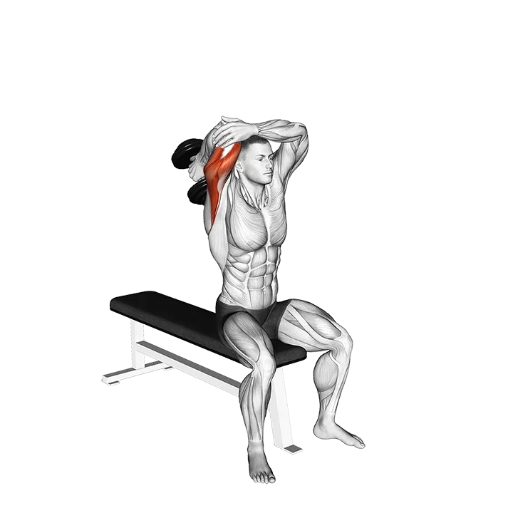 Dumbbell Seated Single Arm Overhead Triceps Extension exercise animation (Male)