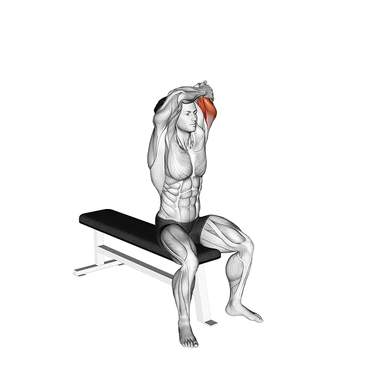 Dumbbell Seated Single Arm Overhead Triceps Extension (left) exercise animation (Male)