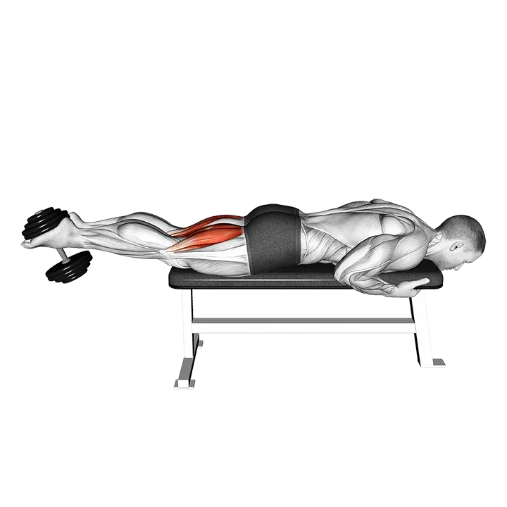 Dumbbell Lying Leg Curl exercise animation (Male)