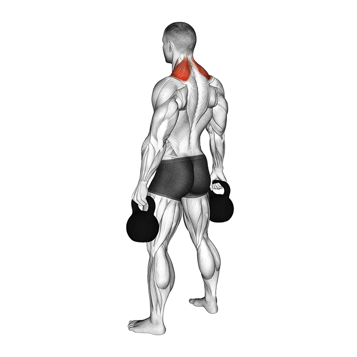 Kettlebell Shrug exercise animation (Male)