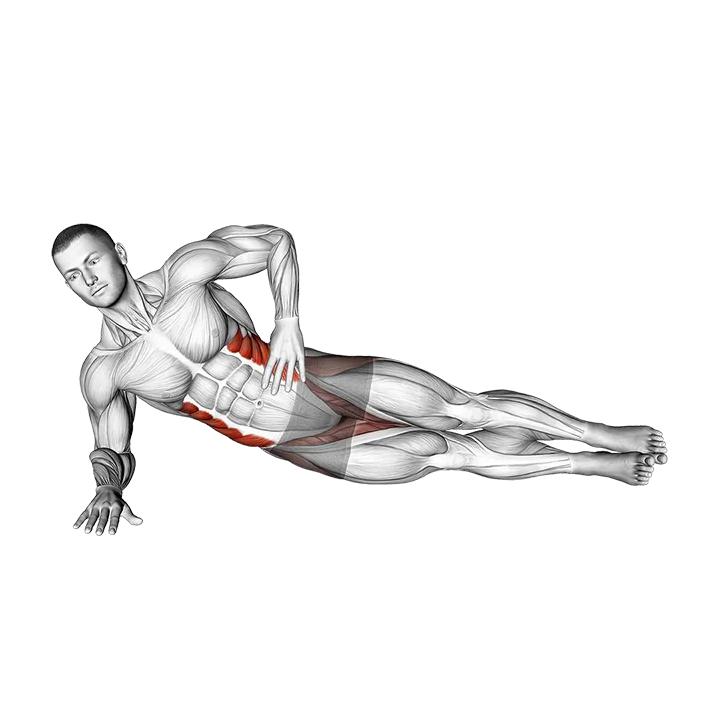 Side Plank Leg Lift (left) exercise animation (Male)