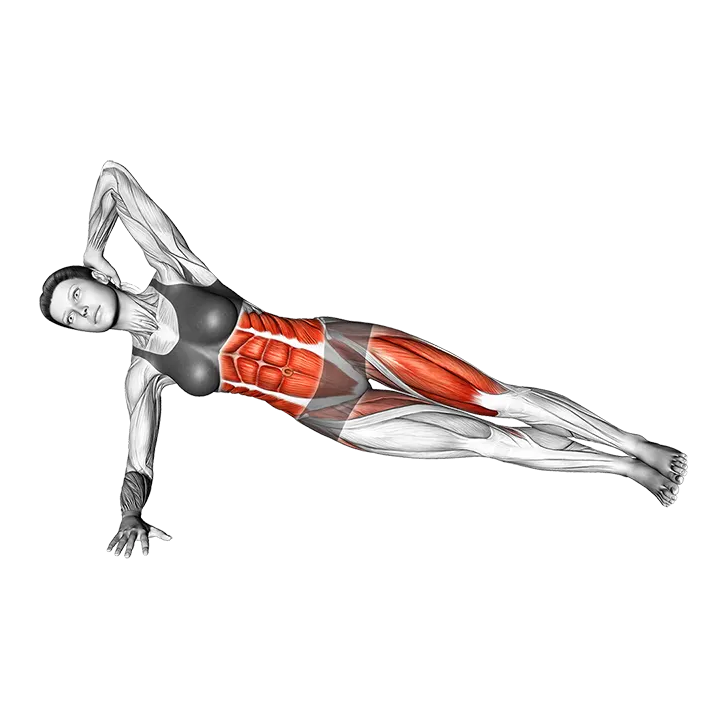 Elbow to Knee Side Plank Crunch (left) exercise animation (Female)