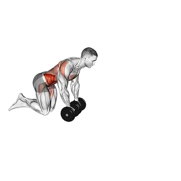 Dumbbell Rollout