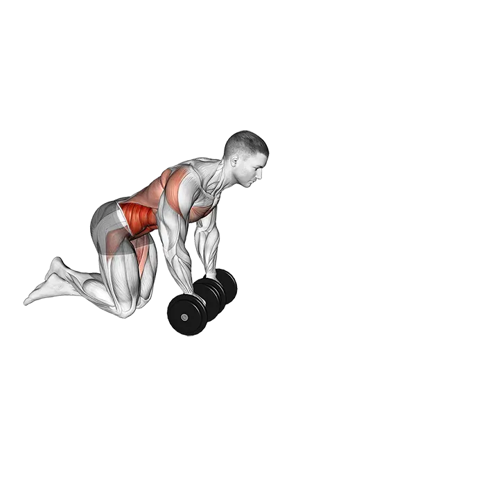 Dumbbell Rollout exercise animation (Male)