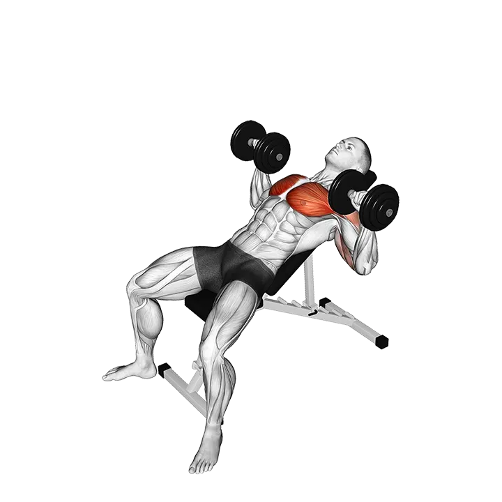 Dumbbell Incline Twist Press exercise animation (Male)