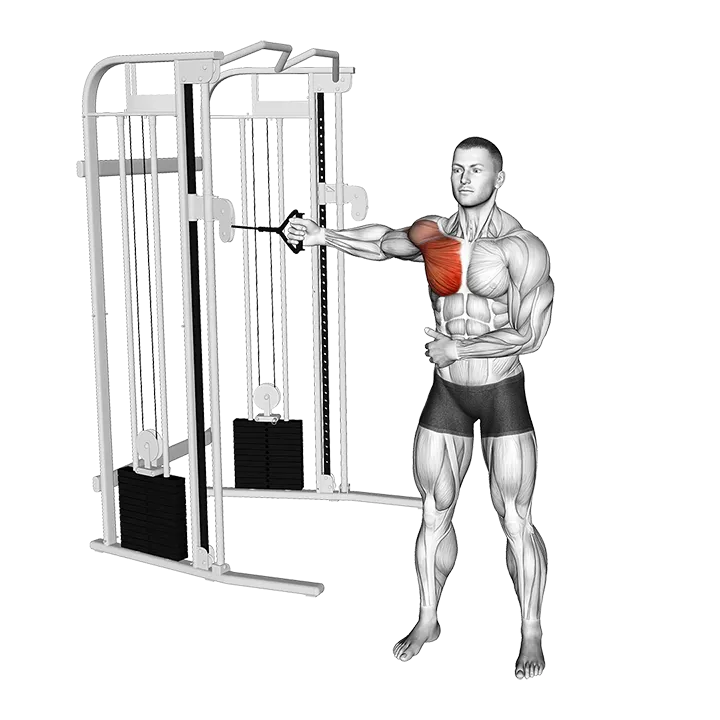 Cable Standing Single Arm Fly exercise animation (Male)