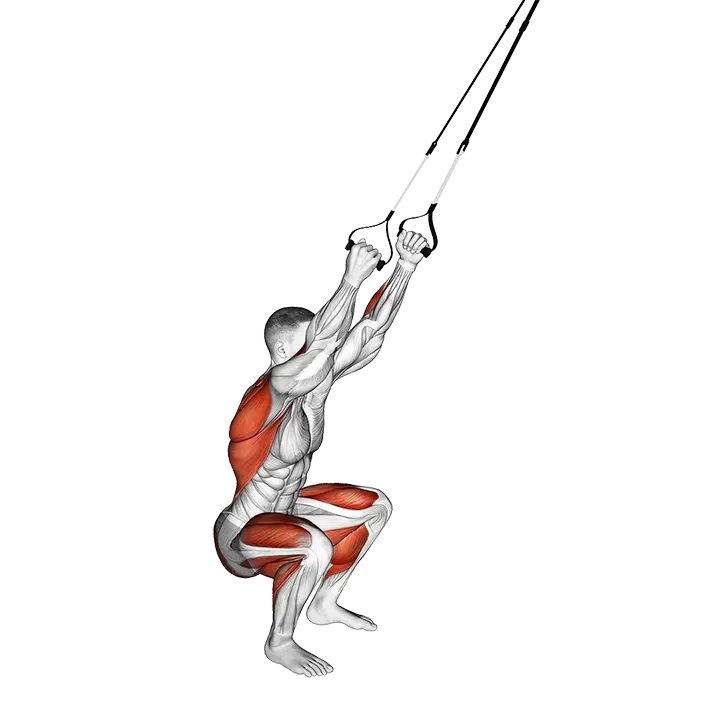 Suspender Squat Jump exercise animation (Male)