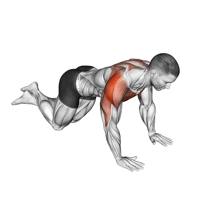 Knee Push-up Chest Pullback exercise animation (Male)