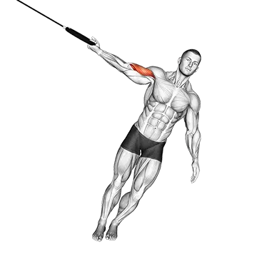 Ring One Arm Biceps Curl