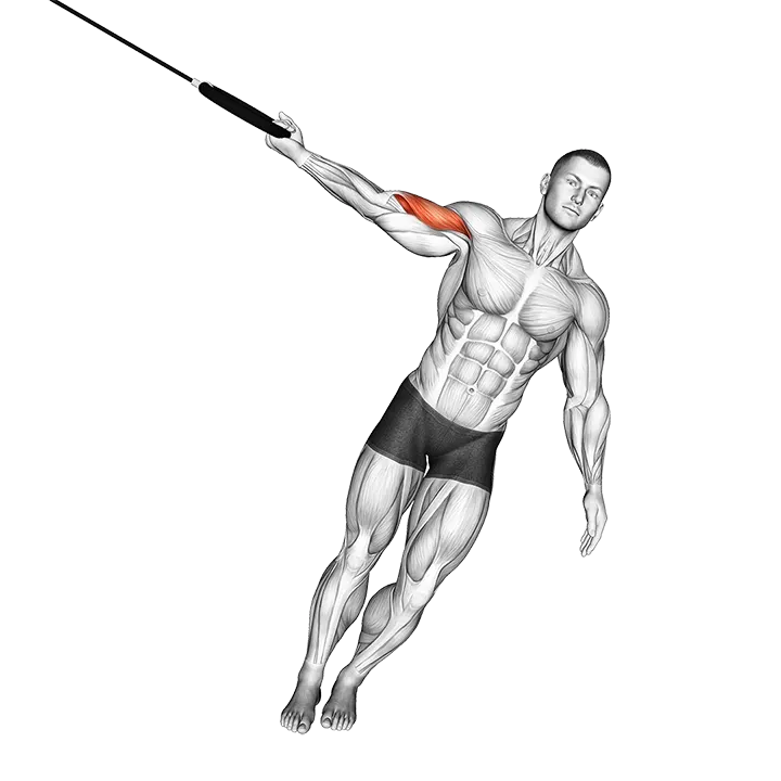 Ring One Arm Biceps Curl exercise animation (Male)