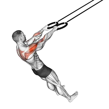 Ring Face Pull