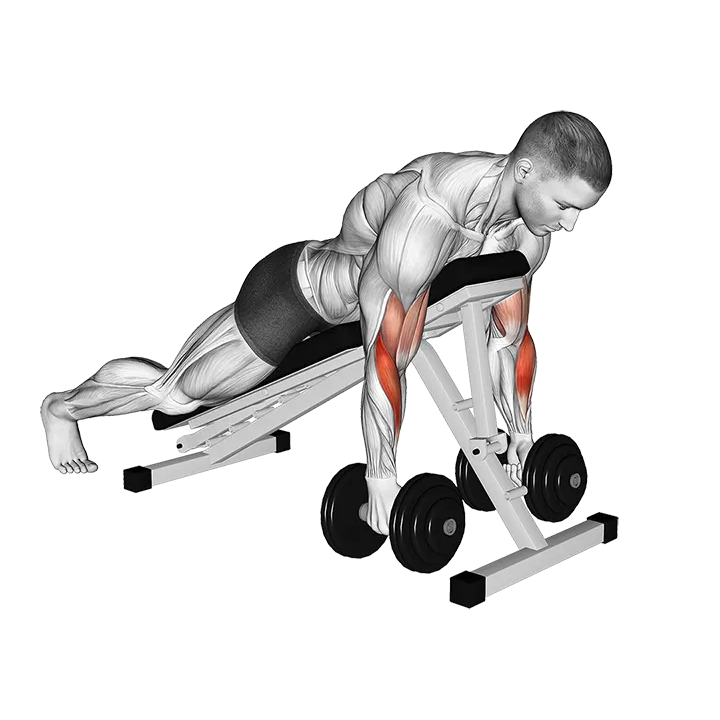 Dumbbell Prone Alternate Hammer Curl exercise animation (Male)