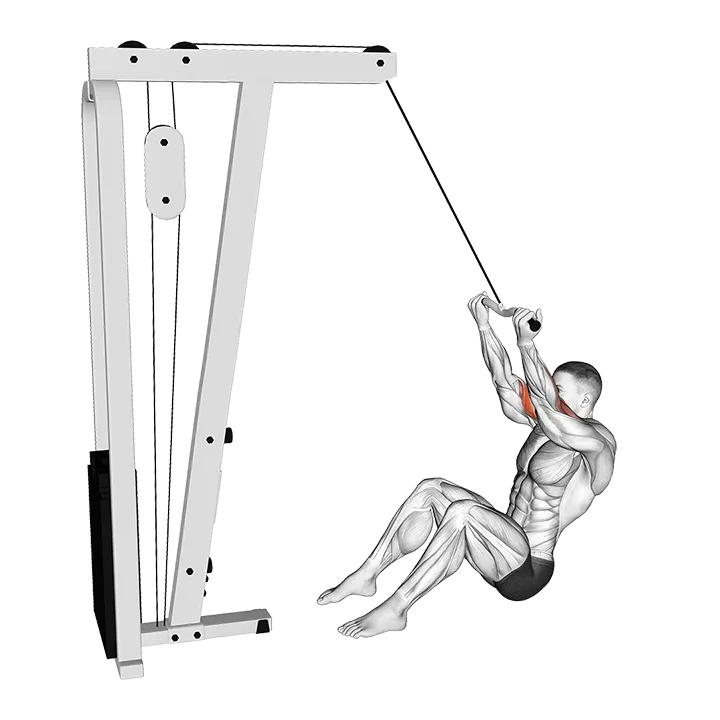 Cable Seated Overhead Curl (SZ Bar) exercise animation (Male)